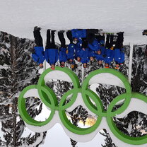 Cypress Olympic Rings Cypress